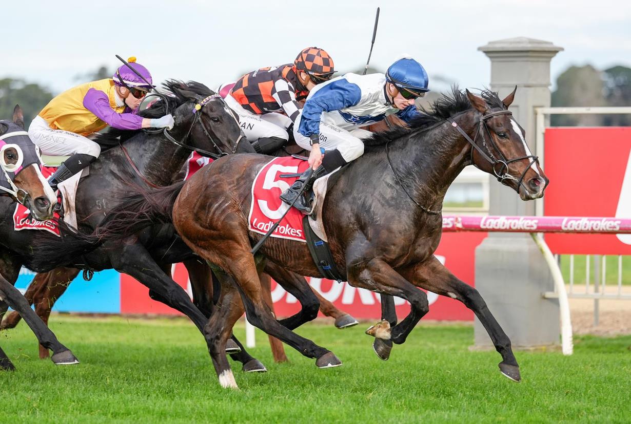 THINXZO BANKS SUCCESSIVE WINS